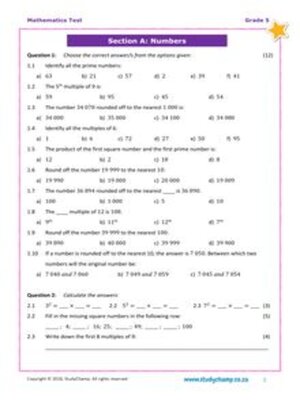 cover image of Grade 5 Maths Test: Mixed Skills Practice 6